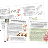 Buki France - Mini Lab Laboratoire dégoûtant