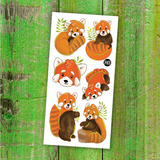 Tatouages temporaires - Les doux pandas roux