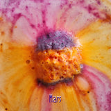 Loot - Bombe de bain - Galaxie