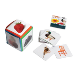 Placote - The dice of the first words