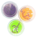 GOM-MEE - Seau de slime moussante - Rhume d'araignée + Vers gluants