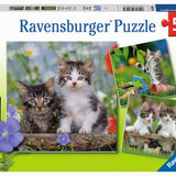 Casse-tête - Chatons tigrés 3x49 pièces