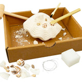 Buki France Dig'Kit - Coquillages