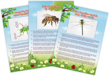 Buki - Aspirateur d'insectes