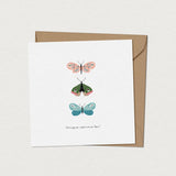 Mimosa - Carte de souhait- Régulière - Papillons