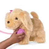 Pucci Pups - Epagneul ensemble de vétérinaire