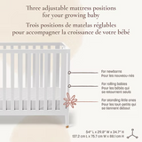 Little Seeds - Aster 4-in-1 Convertible Bassinet - White