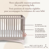 Little Seeds - Bassinette convertible 4-en-1 - Pala - Taupe