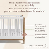 Little Seeds - Bassinette convertible 4-en-1 - Laurel - Blanc