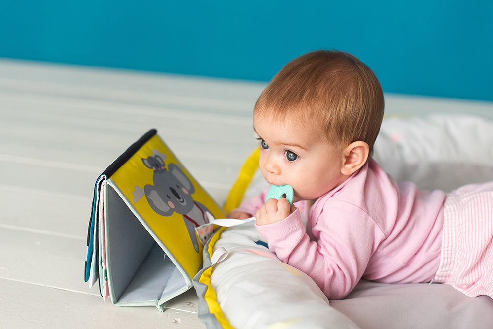 Taf Toys - Livre d'activités position ventrale