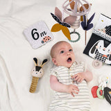 Taf Toys - 10-Piece Black and White Starter Set
