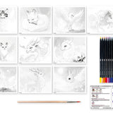 Sycomore - Artissimo - Atelier Manga Animaux Fantastiques