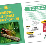 Auzou - 100 questions l'fun !