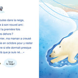 Auzou - Petit Léon et l'ourson polaire