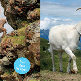 Auzou - Mon premier doc photo : Les animaux de la montagne