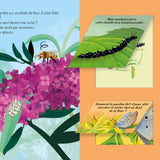 Auzou - Little Ludoc' - Garden Animals