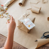 GOM-MEE - Étiquettes Cadeaux Nettoyant 3-en-1 - Biscuits au Pain d'épice