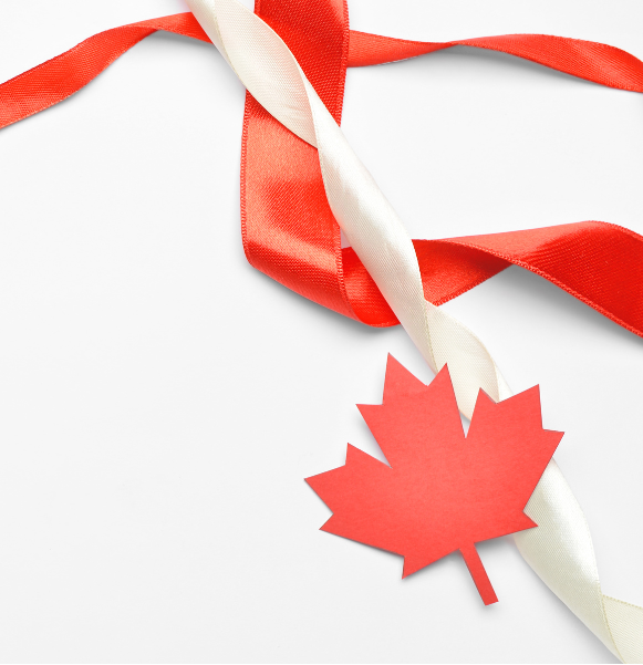 Fête du Canada !                                                                              15 % de rabais sur presque tout en utilisant le code : CANADA