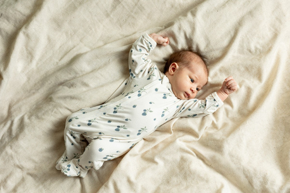 Coccoli - Pyjama 1 pièce en modal - Mûres