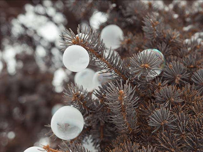Crazy Ice Bubbles - Bulles d'hiver