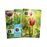 Asmodee - Frosted Blooms