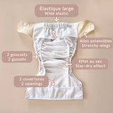 La Petite Ourse - Couche à poche - Évolution - Éléphant