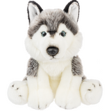 Ganz - Peluche - Husky Sibérien 12"